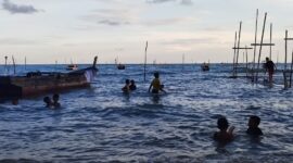 Keindahan Pulau Dabo Singkep di Kabupaten Lingga memikat dengan pantai alami. Anak-anak menghabiskan waktu bermain di pesisir Desa Tanjung Harapan, menikmati laut dan membantu nelayan | f. Redaksi