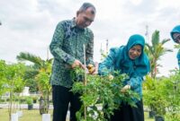 TP PKK Kabupaten Lingga menggelar panen cabai di Gedung Daerah Dabo Singkep. Kegiatan ini bertujuan mendorong ketahanan pangan dan pemberdayaan masyarakat lokal | f. Sahib