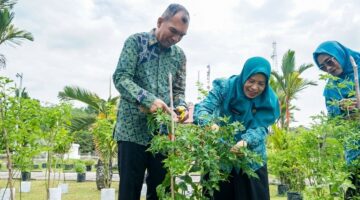 TP PKK Kabupaten Lingga menggelar panen cabai di Gedung Daerah Dabo Singkep. Kegiatan ini bertujuan mendorong ketahanan pangan dan pemberdayaan masyarakat lokal | f. Sahib