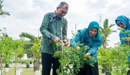 TP PKK Kabupaten Lingga menggelar panen cabai di Gedung Daerah Dabo Singkep. Kegiatan ini bertujuan mendorong ketahanan pangan dan pemberdayaan masyarakat lokal | f. Sahib