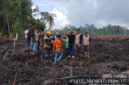 Polemik lahan sagu di Desa Pekaka, Lingga Timur, memicu reaksi keras warga. PT CSA klaim tidak sengaja, sementara Pemda Lingga menghentikan land clearing dan minta pemulihan lahan | f. Redaksi