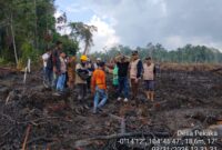 Polemik lahan sagu di Desa Pekaka, Lingga Timur, memicu reaksi keras warga. PT CSA klaim tidak sengaja, sementara Pemda Lingga menghentikan land clearing dan minta pemulihan lahan | f. Redaksi