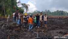 Polemik lahan sagu di Desa Pekaka, Lingga Timur, memicu reaksi keras warga. PT CSA klaim tidak sengaja, sementara Pemda Lingga menghentikan land clearing dan minta pemulihan lahan | f. Redaksi