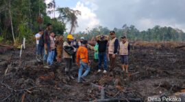 Polemik lahan sagu di Desa Pekaka, Lingga Timur, memicu reaksi keras warga. PT CSA klaim tidak sengaja, sementara Pemda Lingga menghentikan land clearing dan minta pemulihan lahan | f. Redaksi