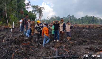 Polemik lahan sagu di Desa Pekaka, Lingga Timur, memicu reaksi keras warga. PT CSA klaim tidak sengaja, sementara Pemda Lingga menghentikan land clearing dan minta pemulihan lahan | f. Redaksi
