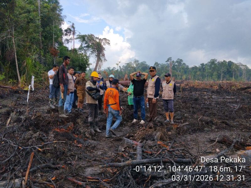 Polemik lahan sagu di Desa Pekaka, Lingga Timur, memicu reaksi keras warga. PT CSA klaim tidak sengaja, sementara Pemda Lingga menghentikan land clearing dan minta pemulihan lahan | f. Redaksi