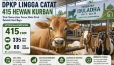 Data Hewan Qurban Lingga 2026 | f. Redaksi