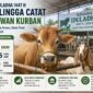Data Hewan Qurban Lingga 2026 | f. Redaksi