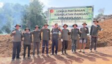 Sekda Lingga H. Armia bersama Kogabwilhan I melakukan penanaman 5.000 bibit semangka di Desa Mepar | f. Diskominfo Lingga