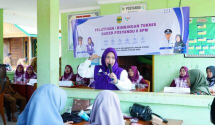 Ketua Tim Pembina Posyandu Kabupaten Lingga, Maratusholiha Nizar, mengikuti pelatihan kader Posyandu 6 SPM di Desa Resun Pesisir | f. Diskominfo Lingga