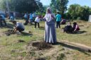 Disperindagkop UKM Lingga tanam 52 pohon kates dengan melibatkan seluruh pegawai. Langkah sederhana ini menjadi simbol harapan besar dalam menjaga ketahanan pangan daerah | f. Wandy