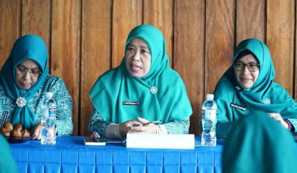 TP-PKK Kabupaten Lingga melakukan pembinaan Program Kampung CERIA di Desa Resun sebagai desa percontohan | f. Diskominfo Lingga